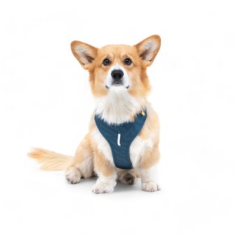 Woolly Wolf - Roam Harnas -Deep teal