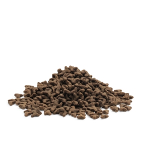 Essential Foods - Heritage - Kattenbrok - Little Lion - 3kg 