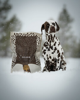 Essential Foods - Heartland - Balance - 10kg