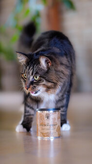 ESSENTIAL THE GOLDEN GHOST &ndash; Katten Treats met Kalkoen &amp; Aronia (100G)