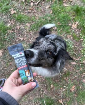 Bow Wow Protein Bar Krill &amp; Kelp