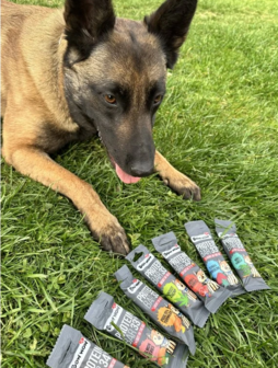Bow Wow Protein Bar met Gevogelte &amp; Kurkuma