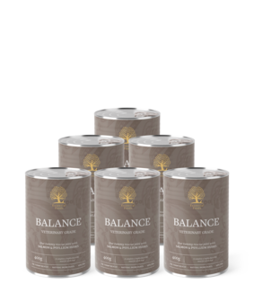 Essential Foods - Pat&eacute; BALANCE &ndash; Dieetvoeding voor honden met een gevoelige spijsvertering