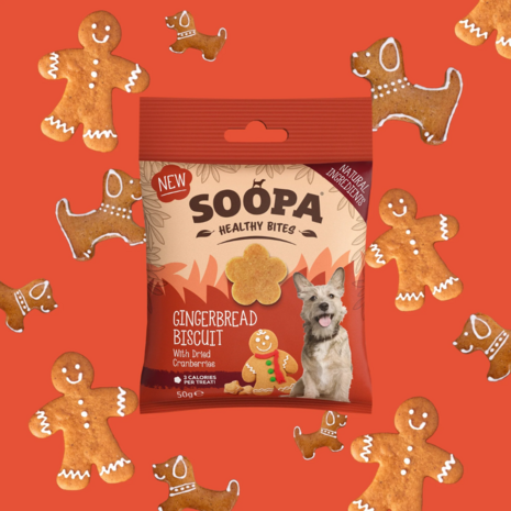 Soopa - Bites - Gingerbread Biscuit