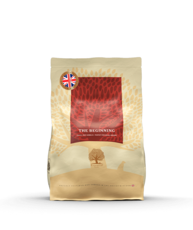 The Beginning Herritage 