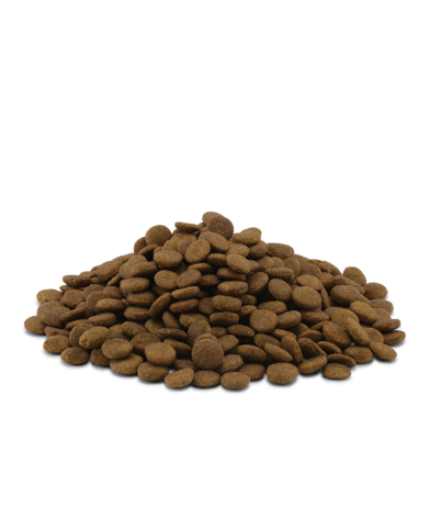 Essential Foods - Heritage - ETERNAL LIVING - 10kg 