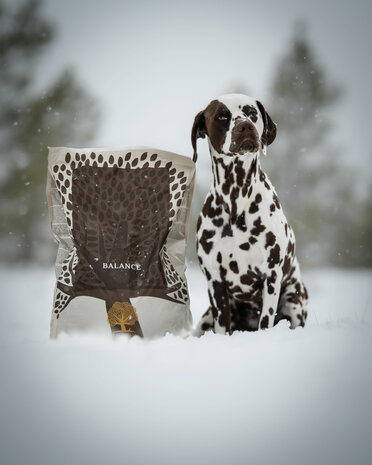 Essential Foods - Heartland - Balance - 10kg