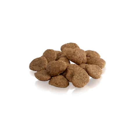 ESSENTIAL THE GOLDEN GHOST &ndash; Katten Treats met Kalkoen & Aronia (100G)