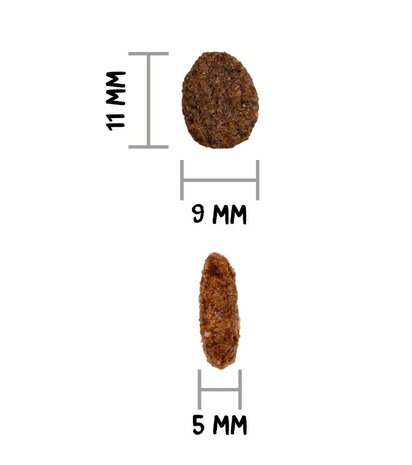OWNAT - CARE - Kat- Renal