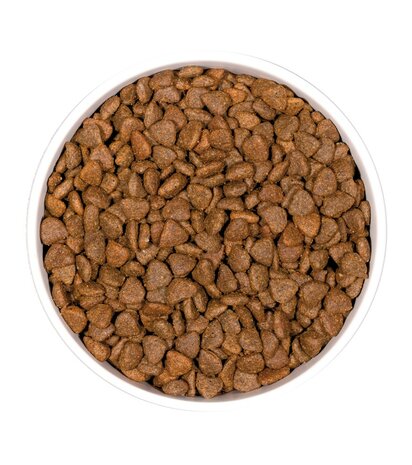 OWNAT- GF - PRIME KITTEN -  (400gr -  1kg ) 