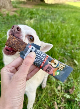 Bow Wow Protein Bar Salmon & Herbs