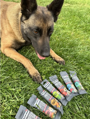 Bow Wow Protein Bar met Gevogelte & Kurkuma