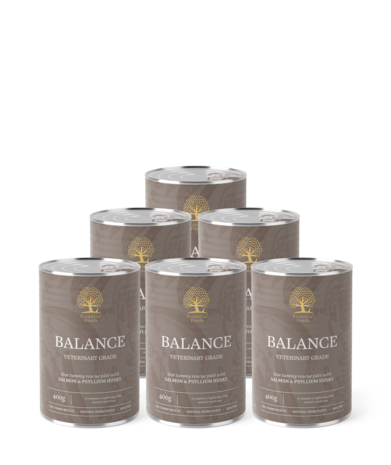 Essential Foods - Pat&eacute; BALANCE &ndash; Dieetvoeding voor honden met een gevoelige spijsvertering