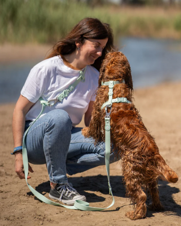 Dukier Waterproof Hands-Free Leash &ndash; maximale vrijheid tijdens iedere wandeling