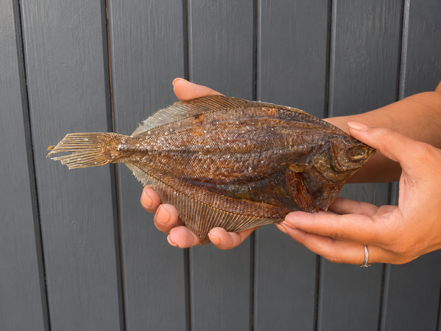 Country Roots Petfoods - Ocean Catch -  Schar - 2 stuks
