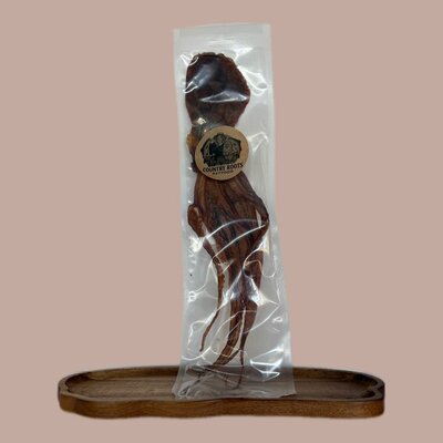 Country Roots – Inktvis (1 stuk)